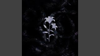 Blackout Bloom