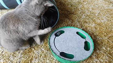 Sophie playing with Pawaboo toy