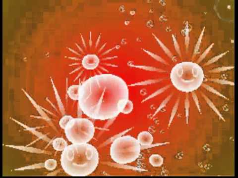 Letu0027s Play Electroplankton- Sun-Animalicule