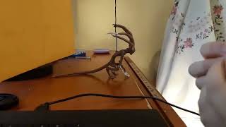Stop Motion Test 7 - Process 2021