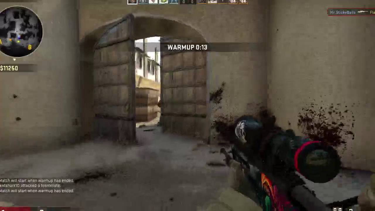 CSGO | FAKE BOT? - YouTube