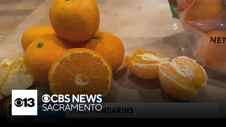 Pixie mandarins | Lunch Break with Michael Marks