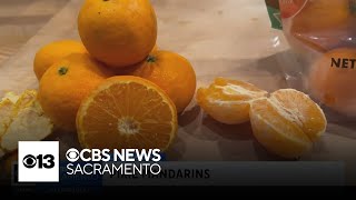 Pixie mandarins | Lunch Break with Michael Marks