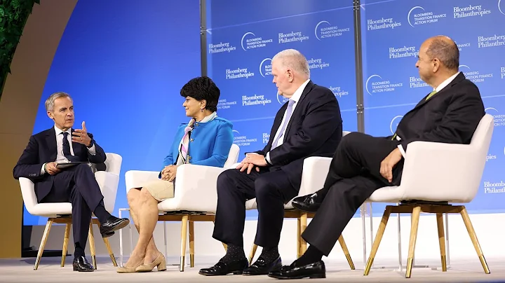 How Financial Institutions Are Transitioning to Net-Zero | Mike Bloomberg