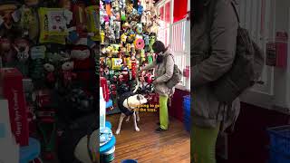 He Only Had A Coconut To Play With, Now He Gets A Toy Shopping Spree | The Dodo