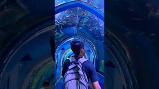 India’s largest fish expo tunnel in Kalyan |fish tunnel mumbai #fishtunnel  #aquatic #aquariumfish