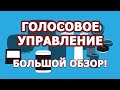 Голосовое управление Умным домом MajorDoMo: обзор систем (Яндекс.Станция, Amazon Alexa, Google Home)