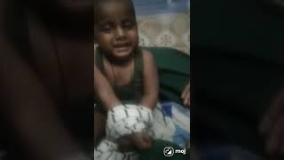 qaidi