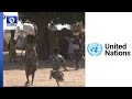 UN Agencies Pledge To Support Re Integration Of Yobe IDs 
