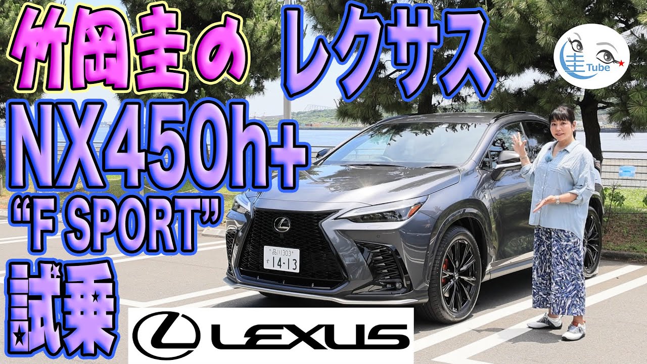 Kei Takeoka's Lexus NX450h+ 