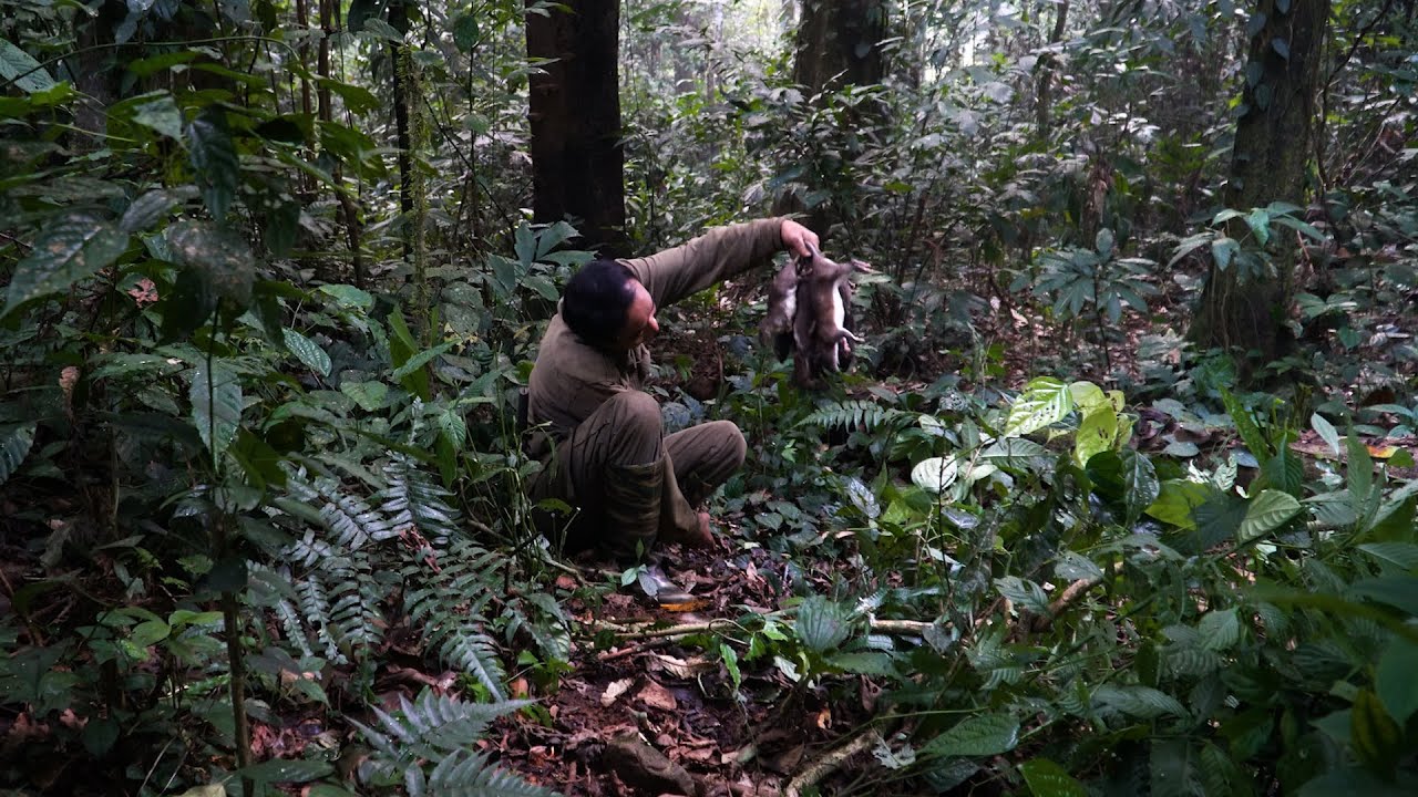 Wild rats in the traps — trading them for a warm blanket | LIVING OFF THE GRID | Episode 102