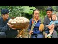 Going into the forest to get colocasia gigantea she falls is the girl seriously injuredbaynguyen