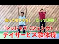 坂本九さんのレットキス(ジェンカ)に合わせて体操【デイサービス】