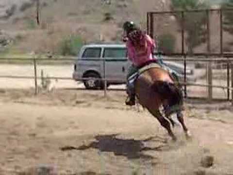 Roxy Galloping
