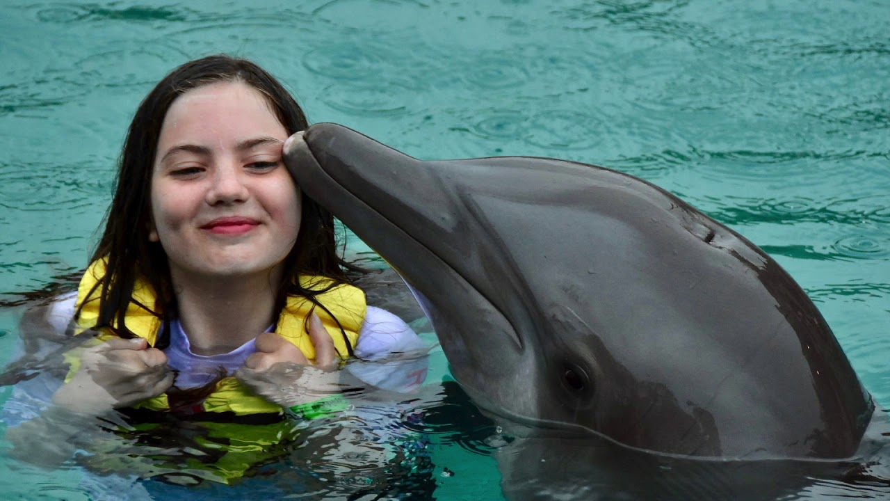 Cozumel - Dolphin Swims