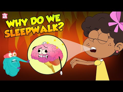 SLEEPWALKING | Why Do We Sleepwalk? | The Dr Binocs Show | Peekaboo Kidz