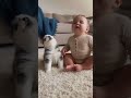 🎉7 million views‼️Baby and Puppy Howl Together So Cute