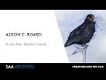 Alison c board  brusho bites blackbird tutorial  saa archives