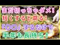 【絶対やめて】せっかくの玉ねぎが全滅!?茎を短く切ると90%腐る「致命的なミス」今すぐ確認して!