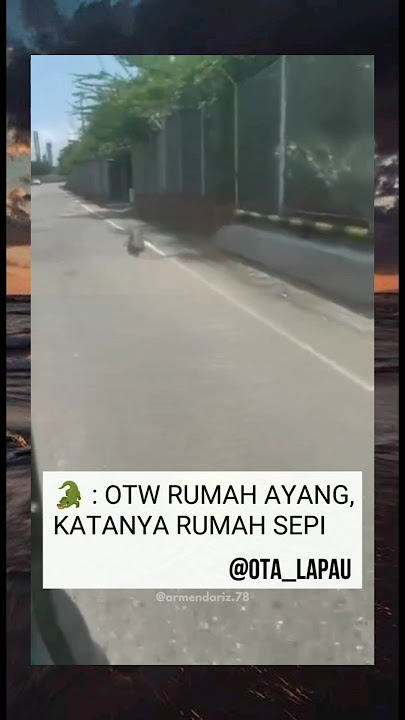 Otw ngapelin ayangg #meme #memes #shorts #funnymemes