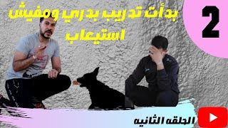 الجزء التاني من تعليم دارك /تدريب الكلب علي اسمه مع كابتن شريف شحاته