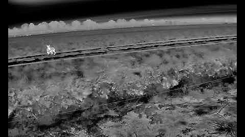 2025-11-26 23:10:52 Happy hares