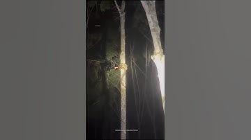 You will be surprised to see this python #shortsvideo