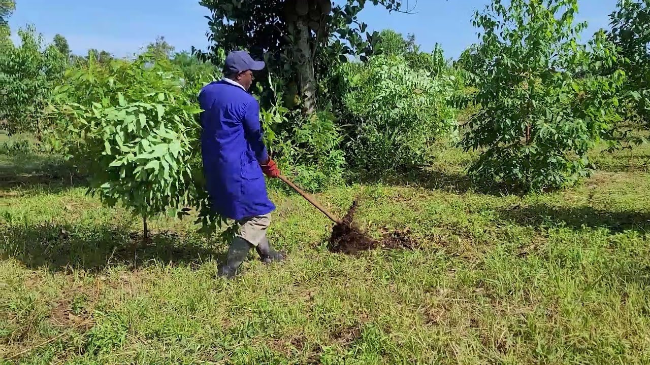 Reviewing Business strategies 