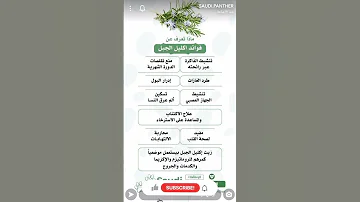 من فوائد إكليل الجبل ينشط الذاكرة والجهاز الهضمي وادرار البول فوائد الذاكرة اكليل الجبل أعشاب 