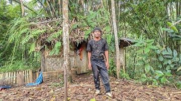 KAGET..GAK NYANGKA JUMPA SESEORANG YANG TINGGAL MENYENDIRI DI GUBUK KECIL TENGAH HUTAN 