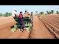 Potato Planter Working MF 375 Tractor Operated