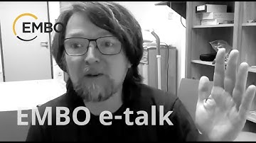 Self-organizing biochemical networks driving specialization and division of labor in cell groups