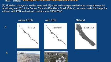 Response to environmental flows in the Snowy River and factors limiting ecological recovery
