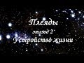 Плеяды. Эпизод 2. Устройство жизни.