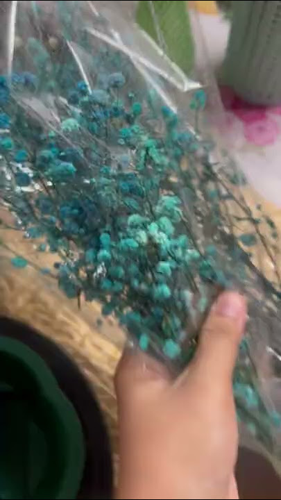 fullfresh sirihjunjung