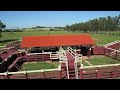 Fazenda a venda no Pará. Na beira do rio Xingu . 2.500 Alqueires total. 1.300 Alqueires de capim