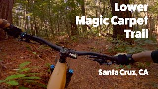 Santa Cruz, CA - Lower Magic Carpet Trail at UCSC