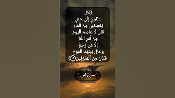 سورة هود الآية ٤٣ بصوت الشيخ محمد صديق المنشاوي