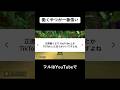 働くやつが1番偉い #合法的留年チワワ