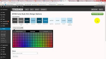 Choose Between Thesis 2.1 & Genesis 2.0 for Building your Website Pt6 - Customize its Appearance