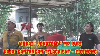 Luar biasa pertarungan sengit Murai fighter " JOKOTOLE " Mr RURI, Raih Juara Satu Telaga Enterprise.