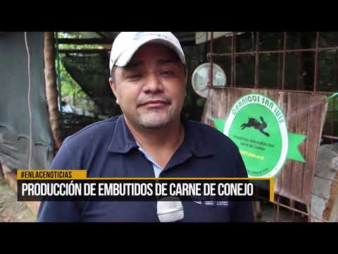 Producción de embutidos de carne de conejo