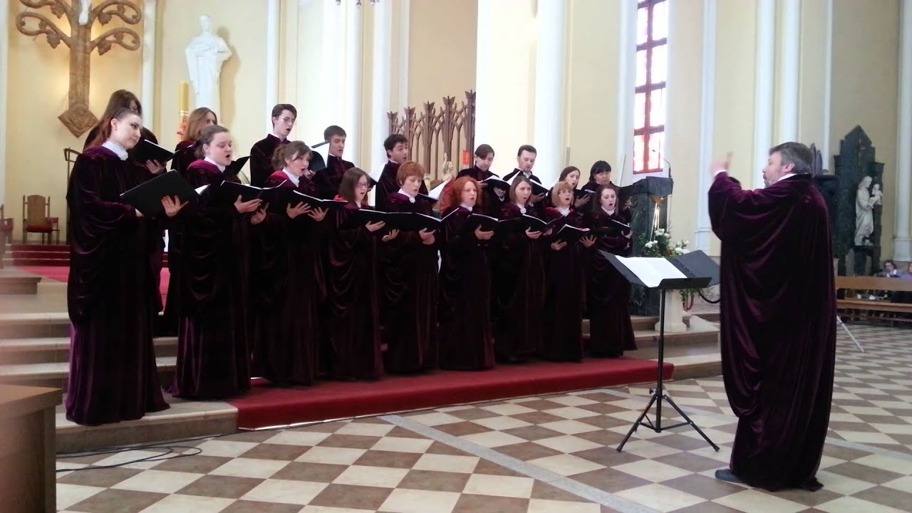 Хор в базилике. Патриарший хор в милане. Хор кафедрального собора. Певчие на хорах в казанском соборе спб. Хор кафедрального собора.