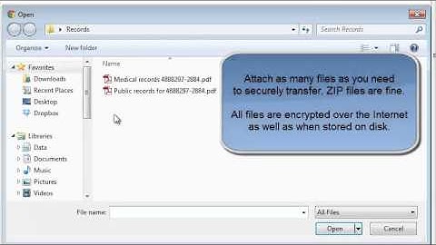 Secure document delivery including large files & sensitive information