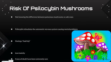 Psilocybin Mushrooms