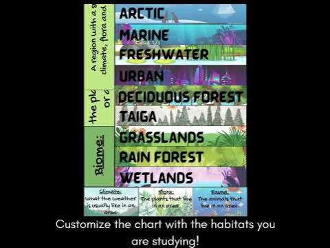 Interactive Anchor Chart: Habitats in English and Spanish - YouTube