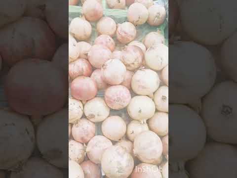 عروض العثيم الرهيبة يوم الاثنين وفر أكثر مع أكبر توفير