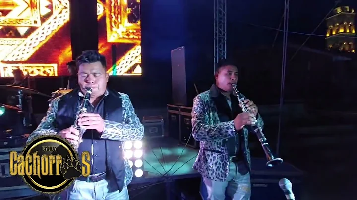 Te Quiero Asi - Jorge El Gallo Ft Banda Cachorros