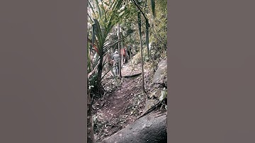 Pernah mendengar suara aneh ketika di gunung atau hutan? Ngeri banget! #shorts #misterio #mistis