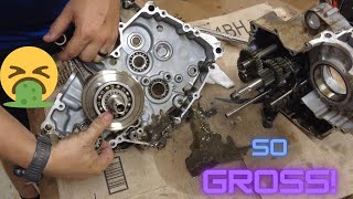 Kawasaki Bayou Gets A Complete Bottom End Teardown!
